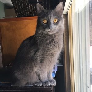 Meet your Posher, Kelli